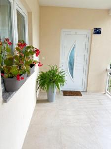 Holiday House Vego في تشابلينا: شرفة مع اثنين من النباتات الفخارية وباب أبيض