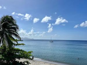 LA PLAGE MARTINIQUE في سكولكر: قارب في الماء على شاطئ فيه نخلة