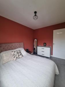 1 dormitorio con 1 cama, vestidor y armario en Appartement Aurillacois, en Aurillac