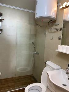 a bathroom with a shower and a toilet and a sink at Apartmani Košuta- Ljiljana Đokanović in Jahorina