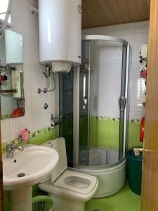 a bathroom with a toilet and a sink and a shower at Apartmani Košuta- Ljiljana Đokanović in Jahorina