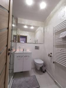 トゥルグ・オクナにあるApartament Gold Luxuryのトイレ、洗面台、シャワー付きのバスルーム +9枚の写真
