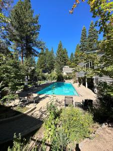 a swimming pool in the backyard of a house at 223 Forest Pines short walk to bike path and the Hyatt Casino in Incline Village