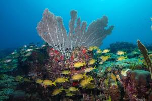 Paesaggio naturale nelle vicinanze dell'appartamento