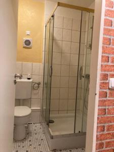 een badkamer met een douche, een toilet en een wastafel bij Schöne Dachgeschosswohnung in Essen