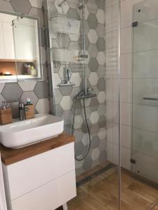 een badkamer met een wastafel en een douche bij Apartament Nad Liwką in Niechorze