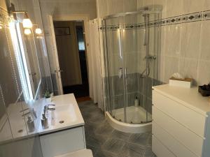 a bathroom with a shower and a sink at Le 40 in Sarreguemines