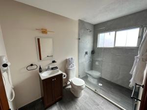 a bathroom with a shower and a toilet and a sink at Suites del Jardín Principal in Guanajuato