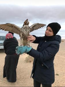 Una donna tiene un uccello sulla spiaggia di Hakuna matata desert camp a Wadi Rum