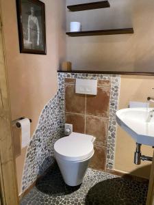 ein Badezimmer mit Toilette und Waschbecken in der Unterkunft Küferhof Ferienhaus St Martin mit Sauna in Sankt Martin + 4 Fotos