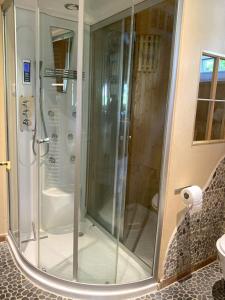 eine Glasdusche im Bad mit Waschbecken in der Unterkunft Küferhof Ferienhaus St Martin mit Sauna in Sankt Martin