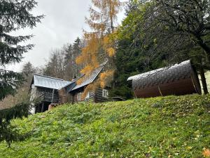 Zahrada ubytování Roubenka Bratrouchov + 29 fotografií