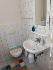 een badkamer met een wastafel, een toilet en een spiegel bij Rügen Fewo 85 in Gremmin