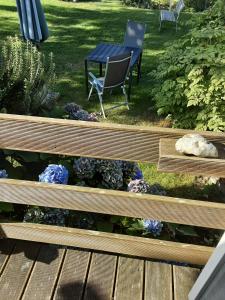 - un jardin avec une table, des chaises et des fleurs dans l'établissement Rügen Fewo 85, à Gremmin