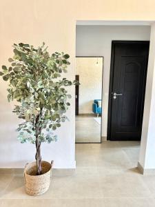 a potted tree in a room with a door at Pebble Bay Garden View F3 in Grand Baie
