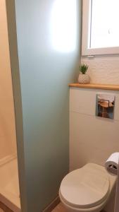 ein Bad mit einem weißen WC und einem Fenster in der Unterkunft Agréable studio lumineux pour escapade à deux ! 1 pièce avec salle de bain - 14m2 - Exterieur privatif - in Saint-Laurent-de-la-Salanque