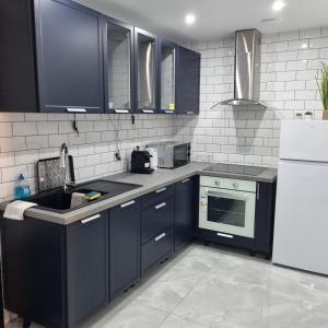 a kitchen with blue cabinets and a sink and a refrigerator at Les Hirondelles in Andolsheim