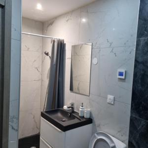 a bathroom with a sink and a toilet and a mirror at Les Hirondelles in Andolsheim