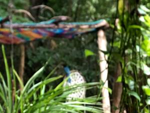 a bird sitting on a swing in the grass at Casa Tzalam Tulum selva in Tulum