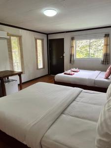 a bedroom with two beds and two windows at Khaosok River Camp in Khao Sok