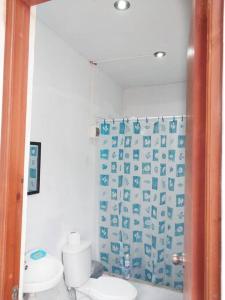 łazienka z toaletą i zasłoną prysznicową w obiekcie ¡Hermosa casa de campo rodeada de naturaleza! w mieście Lunahuaná