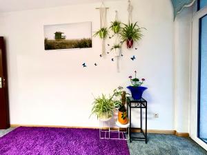 a room with plants on the wall and a purple rug at The Stylish&Cozy Apartment with 37㎡ in District 1 in Düsseldorf