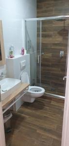 uma casa de banho com um WC e uma cabina de duche em vidro. em Apartmani Stara Skola 