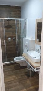 a bathroom with a shower and a toilet and a sink at Apartmani Stara Skola 