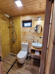 Koupelna v ubytování Skijis Sakhli