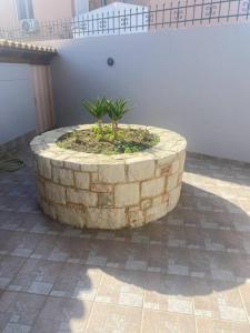 un planteur de pierre avec une plante dans l'établissement New lovely apartment in Heraklion, à Héraklion