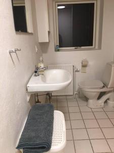 La salle de bains est pourvue d'un lavabo et de toilettes. dans l'établissement House in Billund, à Billund