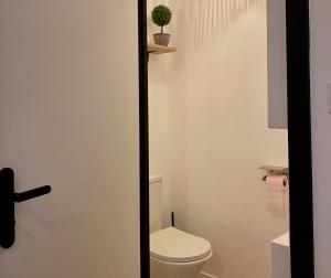ein Badezimmer mit einem WC und einer Pflanze an der Wand in der Unterkunft Appartement neuf et spacieux, centre ville, garage in Tournon-sur-Rhône