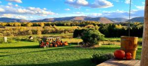 a farm with a bunch of pumpkins on the grass at Odludomki in Smerek