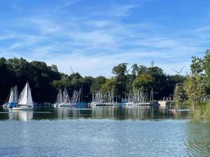 a group of boats on a lake with trees at Im Herzen von Haltern am See in Haltern