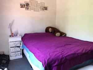 - une chambre dotée d'un lit violet avec un ours en peluche dans l'établissement Mi Bella Vista - Quinta Con Pileta, à Bella Vista