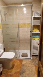 a bathroom with a shower with a toilet and a sink at Apartamentos Mikaela in El Burgo de Osma