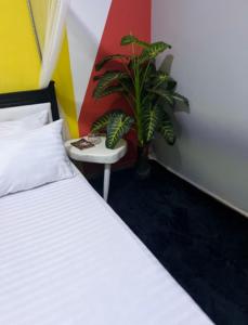 um quarto com uma cama, uma planta e uma mesa em Beniez apartment em Kampala