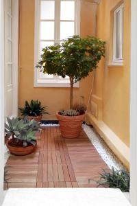 a small tree in a pot on a porch with plants at Bellezza Suites in Cagliari