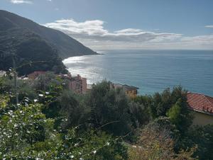 a view of the ocean from a hill at Giardino sul Mare in Camogli