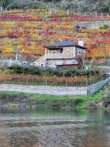 a house on the side of a hill next to a river at SAMPAIO in Taboada