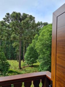 a view of a tree from a balcony at Hotel Schneider in Treze Tílias