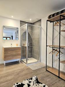 uma casa de banho com um chuveiro, um lavatório e um espelho. em Appartement de 80m² plein sud entièrement rénové em Aime La Plagne