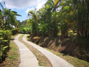 einen Weg durch einen Park mit Palmen in der Unterkunft Casita Maripier Colón 
