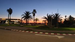 an empty street with palm trees and a building at Hotel Viola in La Paloma