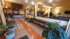 Kuchyň nebo kuchyňský kout v ubytování Hotel Viola