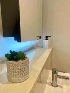 baño con lavabo y maceta. en Modern & Luxury Flat, en Sutton