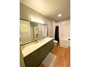 a bathroom with a sink and a toilet and a mirror at Ft Worth 1BR Luxury Retreat in Fort Worth