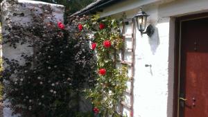 Fotografie z fotogalerie ubytování Whitestone Cottage v destinaci Turnberry