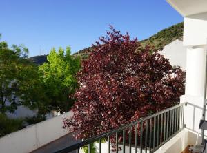 a tree with red leaves on a balcony at Cute and relaxing bed and breakfast en Albayzín in Granada
