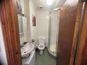 a bathroom with a shower and a toilet and a sink at Nice StudioFLAT in London in London